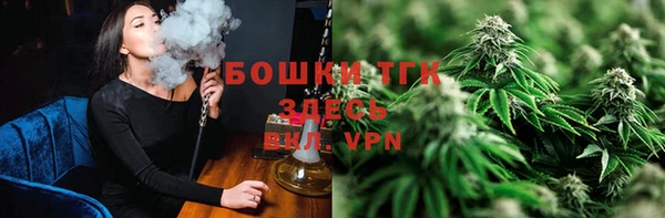 гидра Белоозёрский