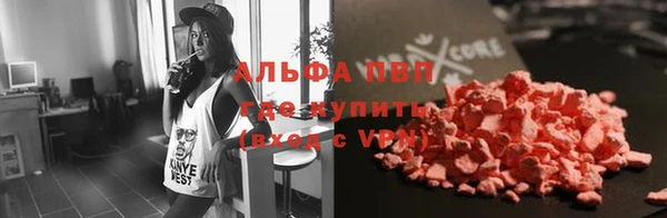 стаф Богданович