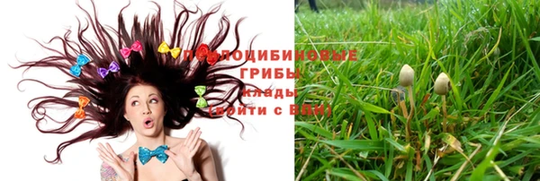 кокаин перу Белокуриха