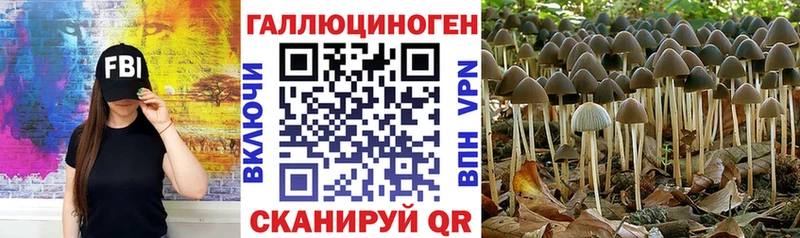 хочу наркоту  Дагестанские Огни  Псилоцибиновые грибы Magic Shrooms 