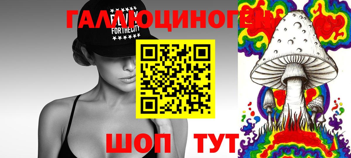 Галлюциногенные грибы Cubensis Дагестанские Огни