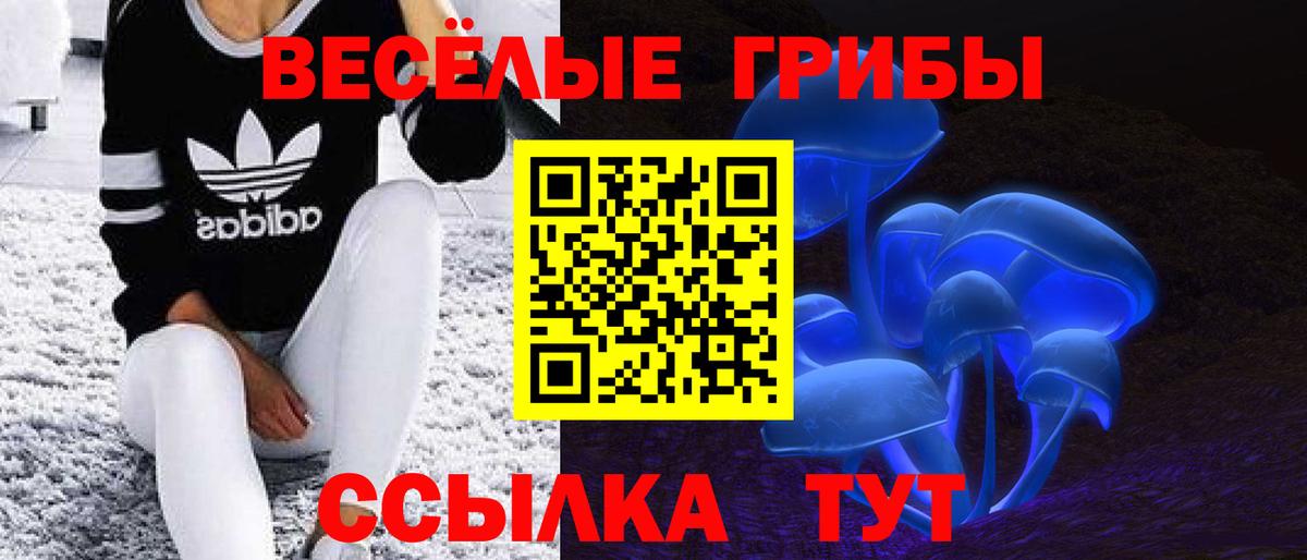 где найти   Галлюциногенные грибы Psilocybe  Вход с VPN  Дагестанские Огни 